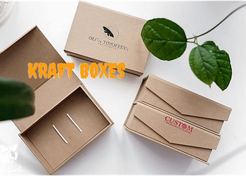 Kraft boxes packaging